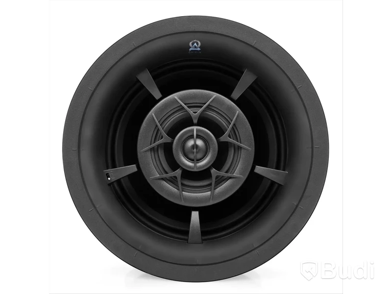 Origin Acoustics D85 Speaker