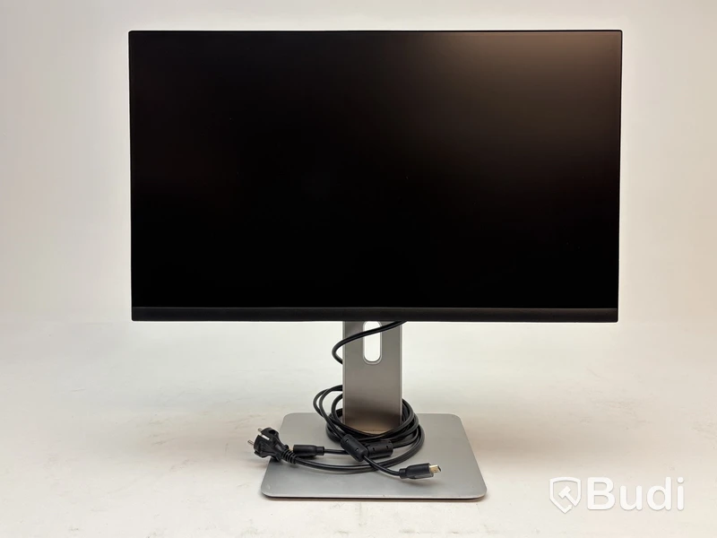 Datorskärm Dell P2422H 23,8 tum