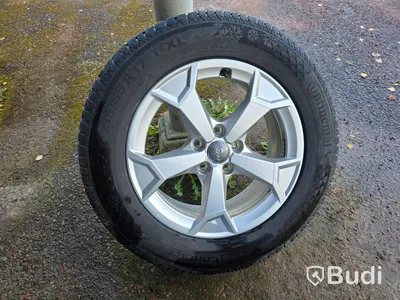 Audifälgar med dubbfria vinterdäck 215/65 R17