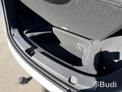 Tesla Model Y Performance -2024 | 534 hp | Tow bar