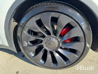 Tesla Model Y Performance -2024 | 534 hp | Tow bar
