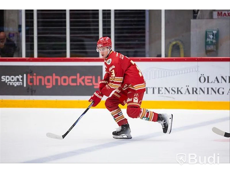 #33 Jakub Hasek - Hemma