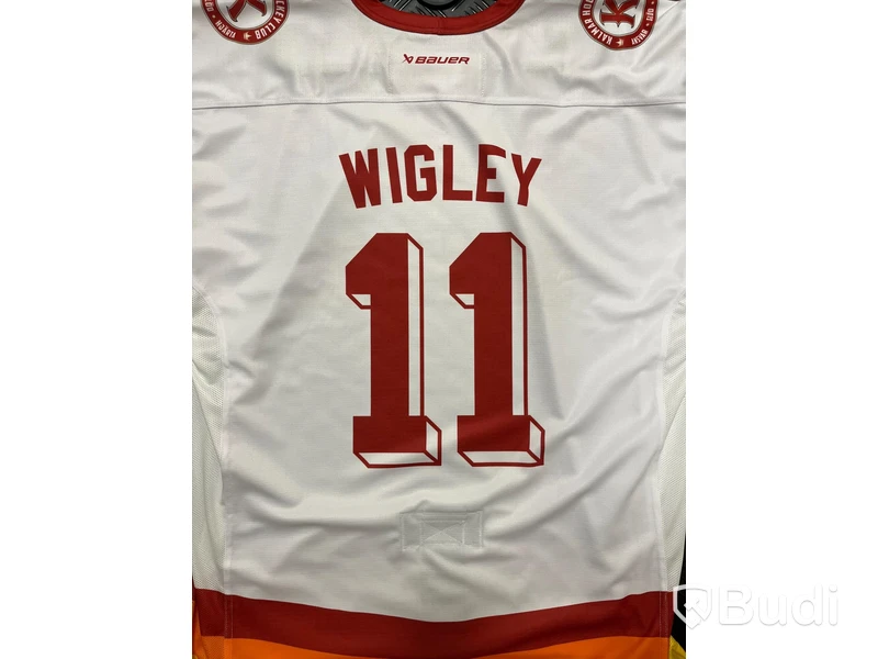 #11 WIGLEY