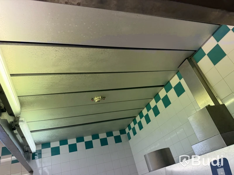 Grovdiskmaskin Electrolux WT150, rullbanor