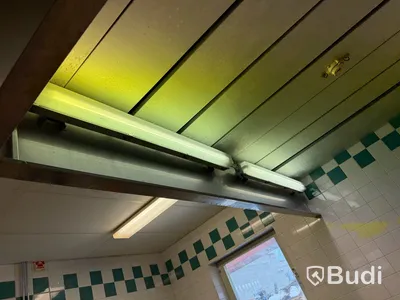 Grovdiskmaskin Electrolux WT150, rullbanor