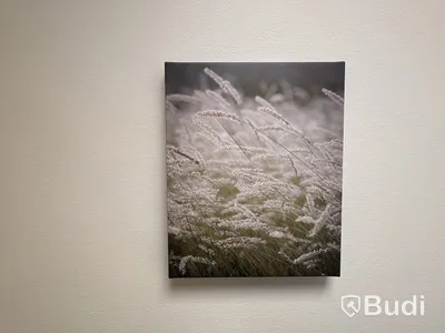 Collection of wall decorations and paintings