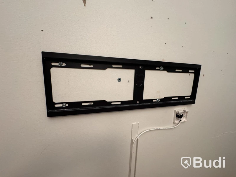 Tv-skärm LG 55 tum