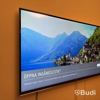 Tv-skärm LG 55 tum