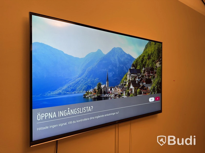 Tv-skärm LG 55 tum