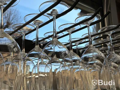 Rödvinsglas, Riedel, ca 50 st