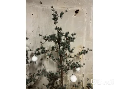 2 st. Julträd i plast. Ord. pris inkl. moms: ca 3000 kr