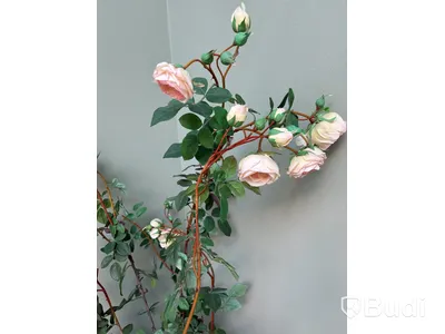 Plastväxt, rosor. Ord. pris inkl. moms: ca 1000 kr