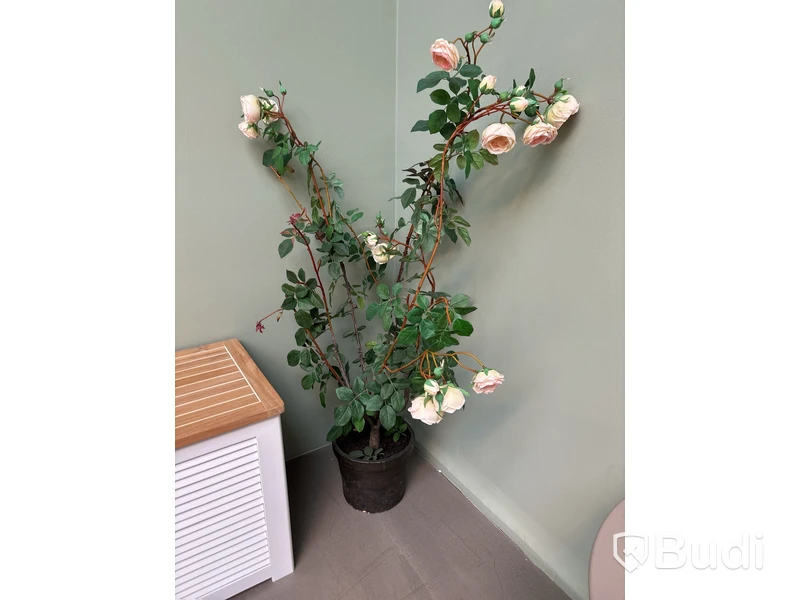 Plastväxt, rosor. Ord. pris inkl. moms: ca 1000 kr