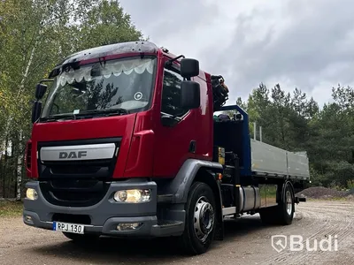 Kranbil DAF FA LF290I -2016 | Palfinger-kran & Bakgavellyft