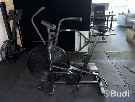 Assault Airbike Classic