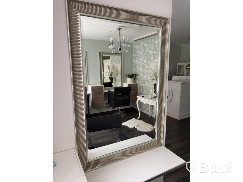 Salon chair by Starck for Presence Paris, incl. mirror