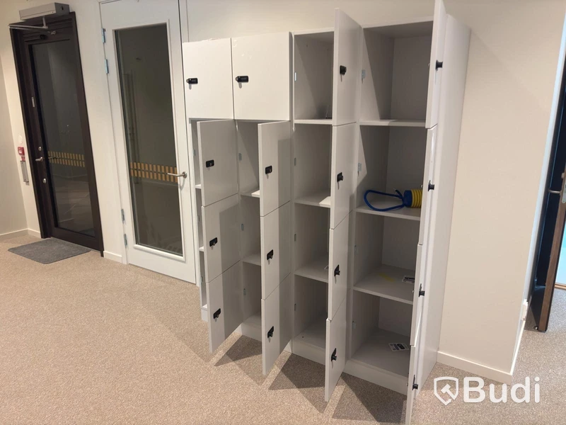 Storage cabinet with 16 compartments