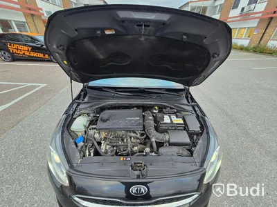 Personbil KIA CEED -2019 | BENSIN