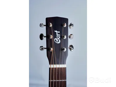 Gitarr - Cort Inkl. Softcase