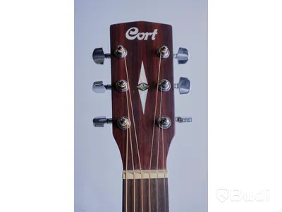 Gitarr - Cort Earth Bevel Cut Open Pore OBS!
