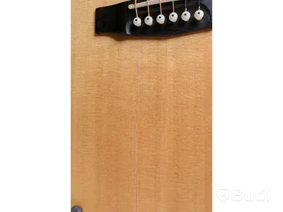Gitarr - Cort Earth Bevel Cut Open Pore OBS!