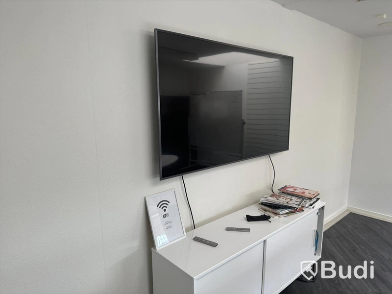 Väggmonterad TV skärm SAMSUNG - skada på skärm, trasig fjärr