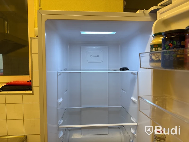 Kylskåp Logik LTR185W23E | 60x62x185 cm