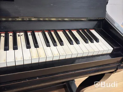 Piano Ibach