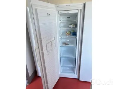 Frys Bosch, GSN36VW3P/01