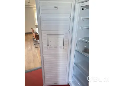 Frys Bosch, GSN36VW3P/01