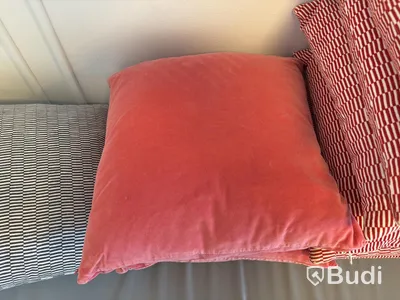 Parti med prydnadskuddar