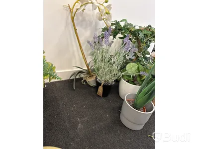 Parti med vasor, krukor och plastblommor