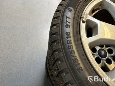 4 st. Vinterhjul Triangle 215/55R16 97T