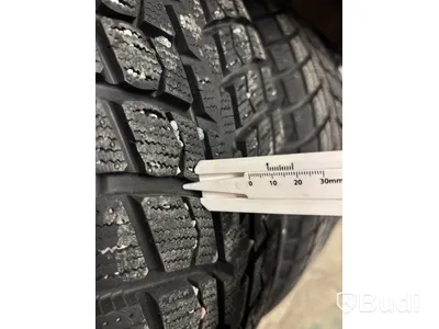 4 st. Vinterhjul Leao 225/65R17 106T