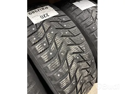 4 st. Vinterhjul Salin 215/65R16 102T