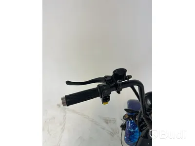 Elscooter Fat Tire Citycoco, blå - reservdelsobjekt