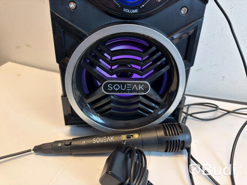 PA-högtalare Squeak BeatBoxer SQ1000, med mikrofon