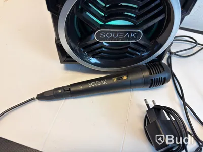 PA-högtalare Squeak BeatBoxer SQ1000, med mikrofon