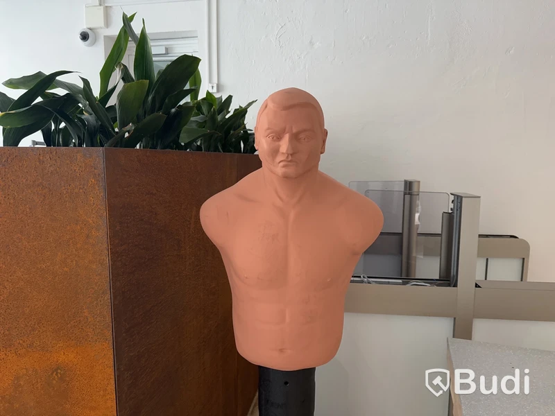 Sparrdocka, Century Bob