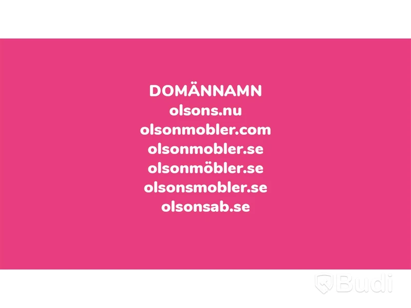 Flera domännamn