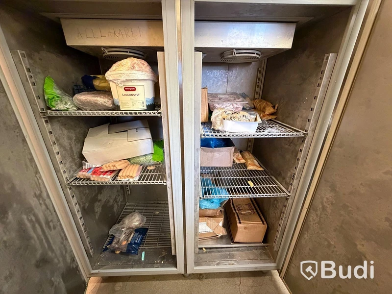 Freezer, Bolarus SN-147S/P