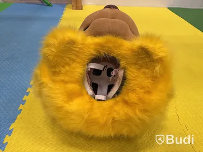 Maskotdräkt Lejon onesize