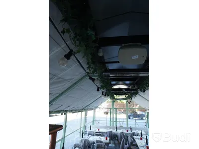 Ljusslinga, inklusive klängväxt i plast