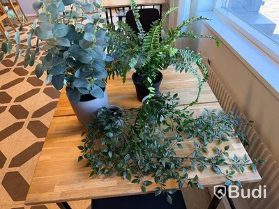 Parti plastväxter – ca 40 st i olika modeller
