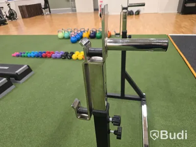 Skivstångsställning Recoil