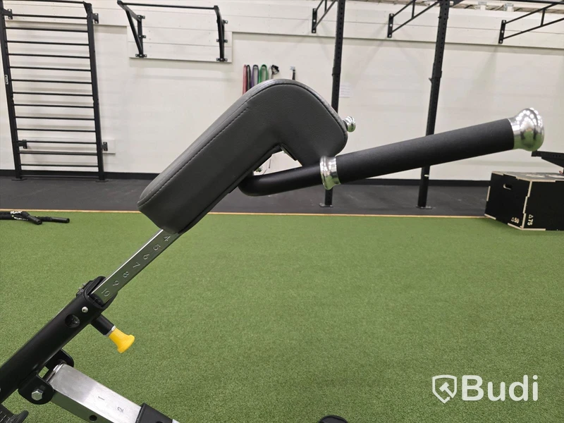 Hyperextensionbänk BH Fitness