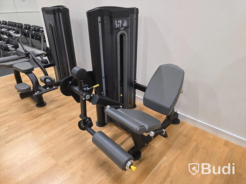 Leg extension BH Fitness