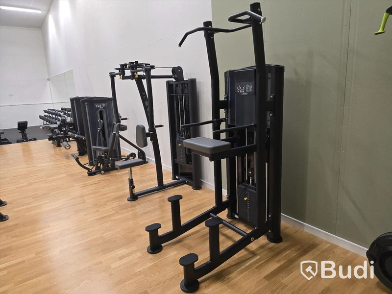 Pull-Ups/Chinsmaskin BH Fitness