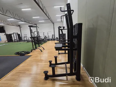 Pull-Ups/Chinsmaskin BH Fitness