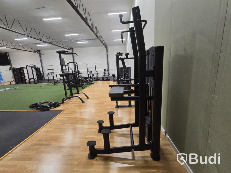 Pull-Ups/Chinsmaskin BH Fitness
